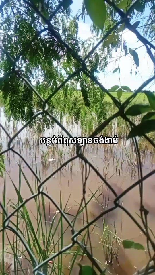 TikTok video thumbnail by kg78suku