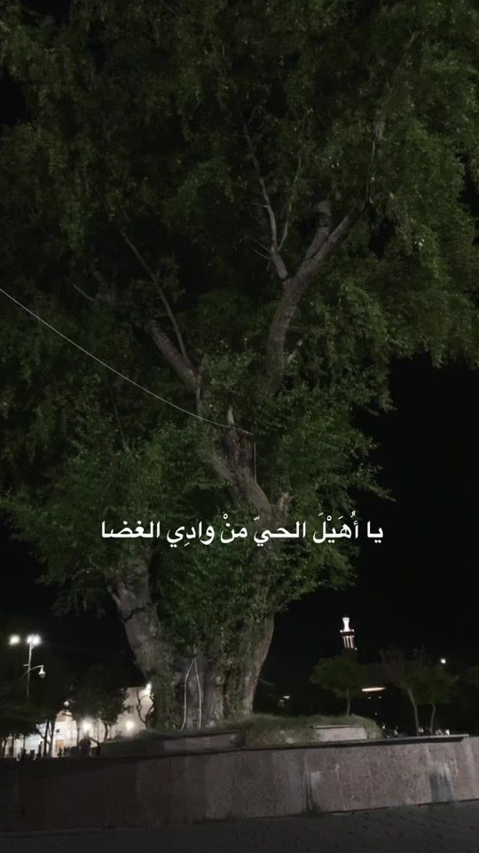 TikTok video thumbnail by mo0237