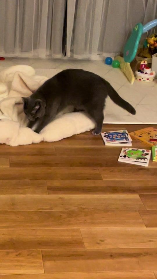 TikTok video thumbnail by maron_choko
