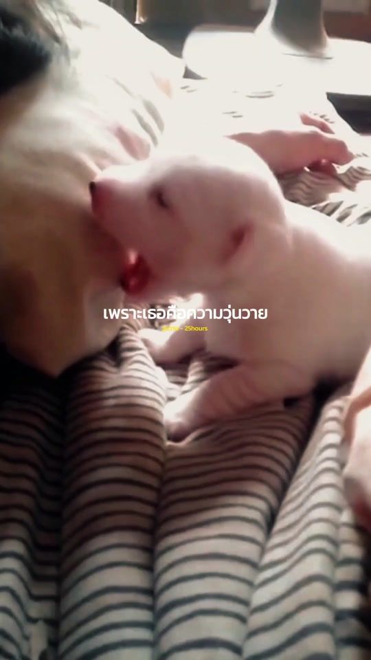 TikTok video thumbnail by e_u_r_o