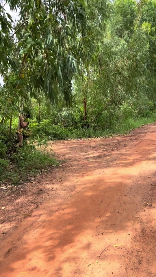 TikTok video thumbnail by gralekzy_100345