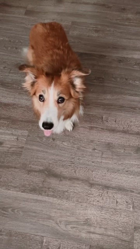 TikTok video thumbnail by ksuksar