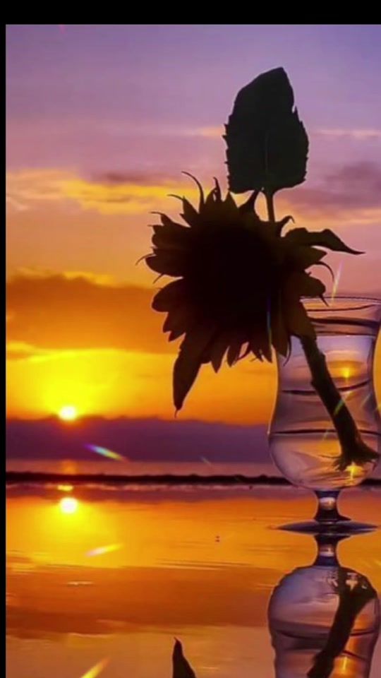 TikTok video thumbnail by natali57577
