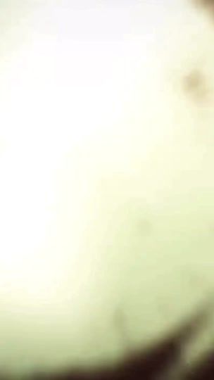 TikTok video thumbnail by user41325671232