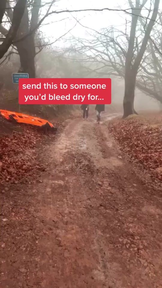 TikTok video thumbnail by skatermolly