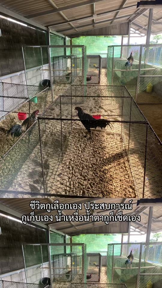 TikTok video thumbnail by bank.ki28