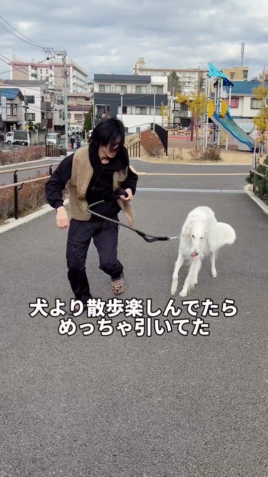 TikTok video thumbnail by borzoi_to_asobo