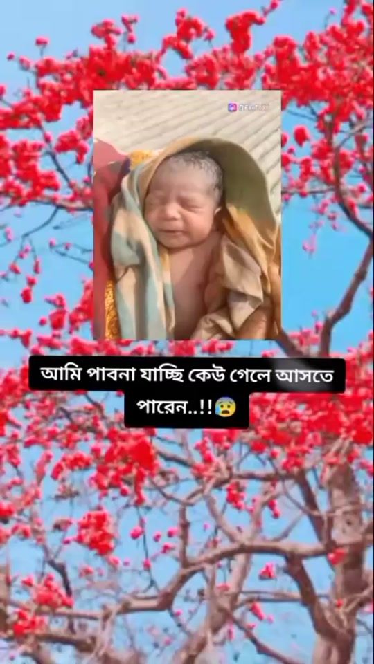TikTok video thumbnail by user6067061708140