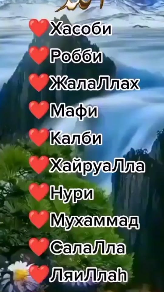 TikTok video thumbnail by quran0786