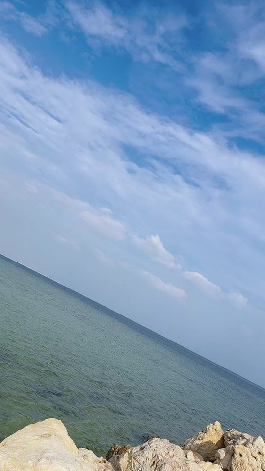 TikTok video thumbnail by trexierose2