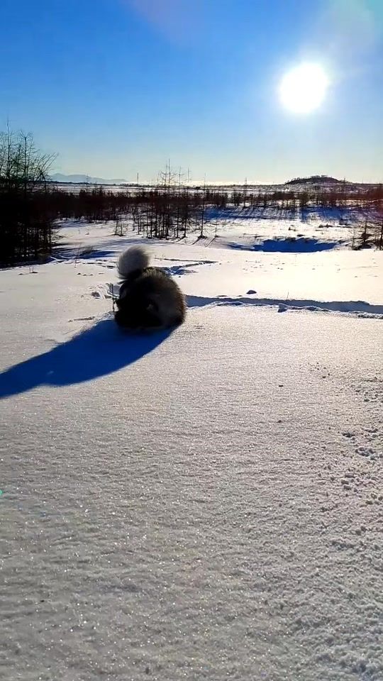 TikTok video thumbnail by nitakenay2