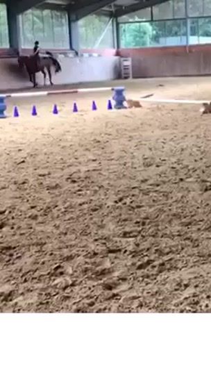 TikTok video thumbnail by lara._fiona