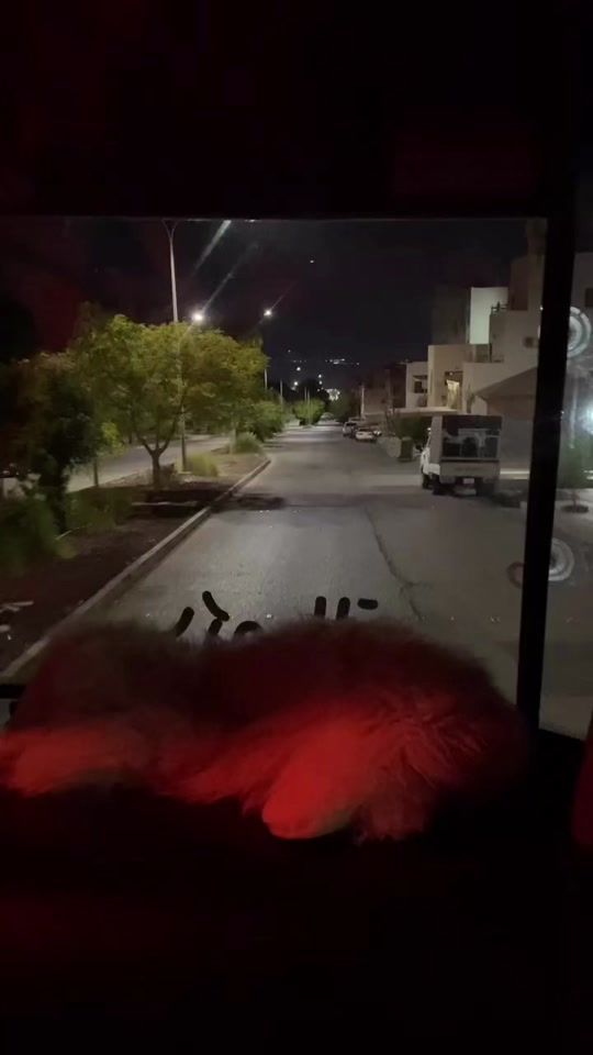 TikTok video thumbnail by kj_.511