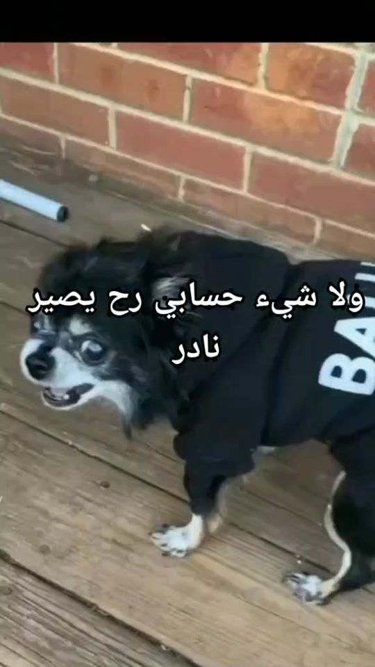 TikTok video thumbnail by k_r_a_m.7