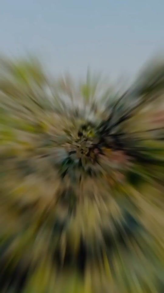 TikTok video thumbnail by muneebmughal008