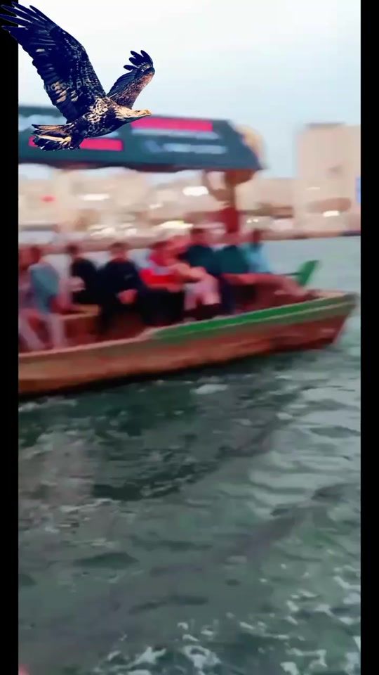 TikTok video thumbnail by mehtabjuttgill93