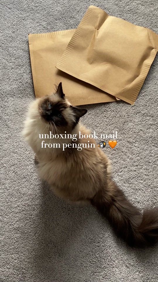 TikTok video thumbnail by katesbookcart