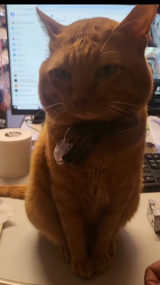 TikTok video thumbnail by sleeplandmanager