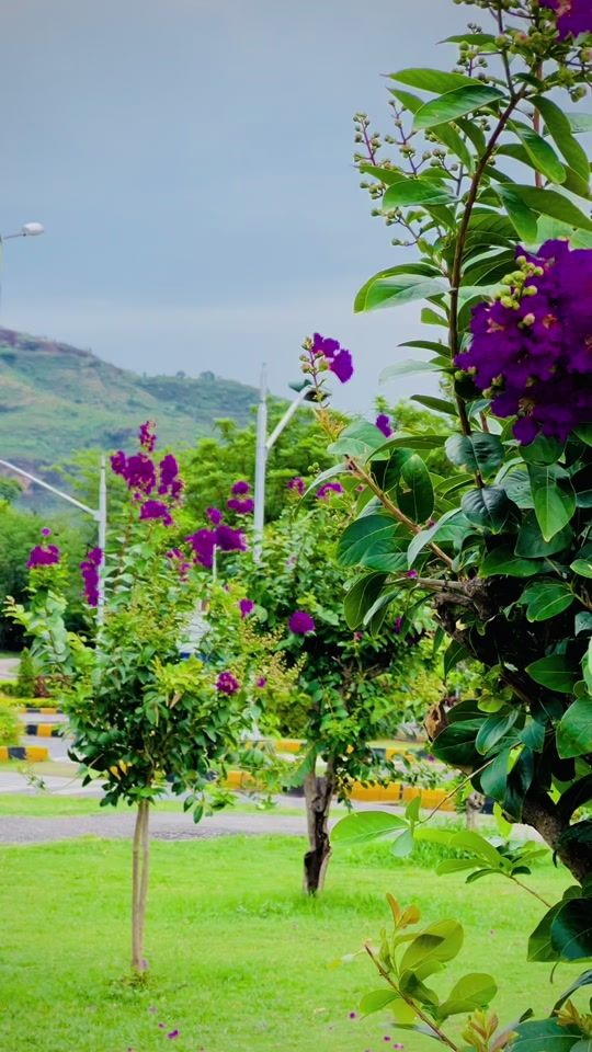 TikTok video thumbnail by beautiyofislamabad