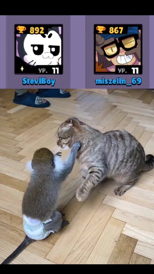 TikTok video thumbnail by atiasko