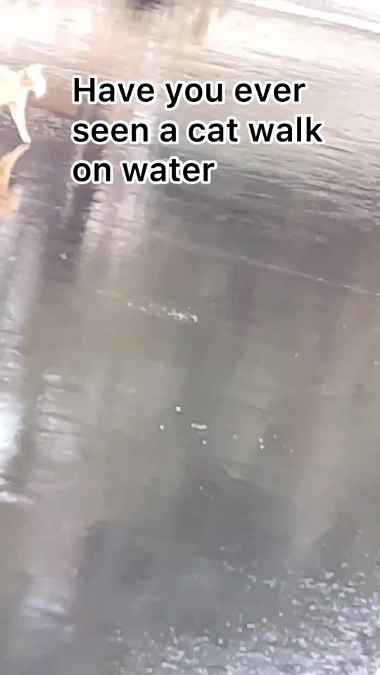 TikTok video thumbnail by markdav1d