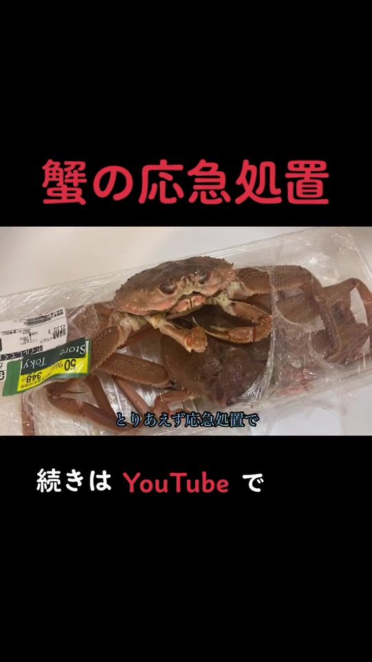 TikTok video thumbnail by yoshihiro.yamaguchi