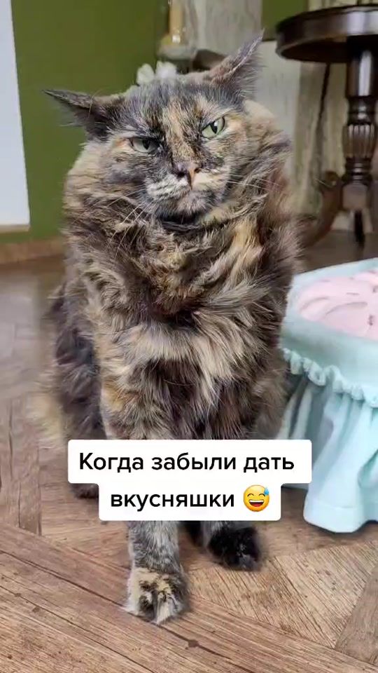 TikTok video thumbnail by luchy_nika