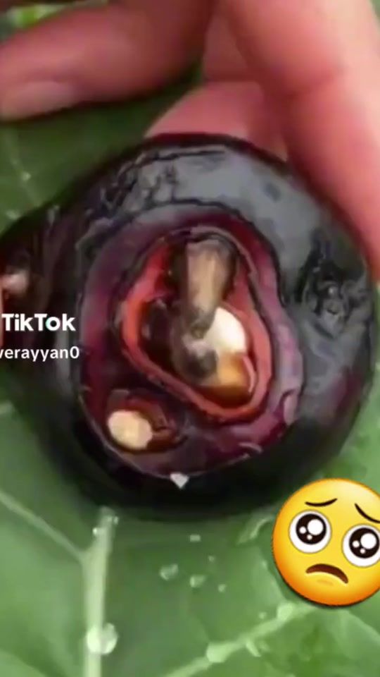 TikTok video thumbnail by md.lal.miya14