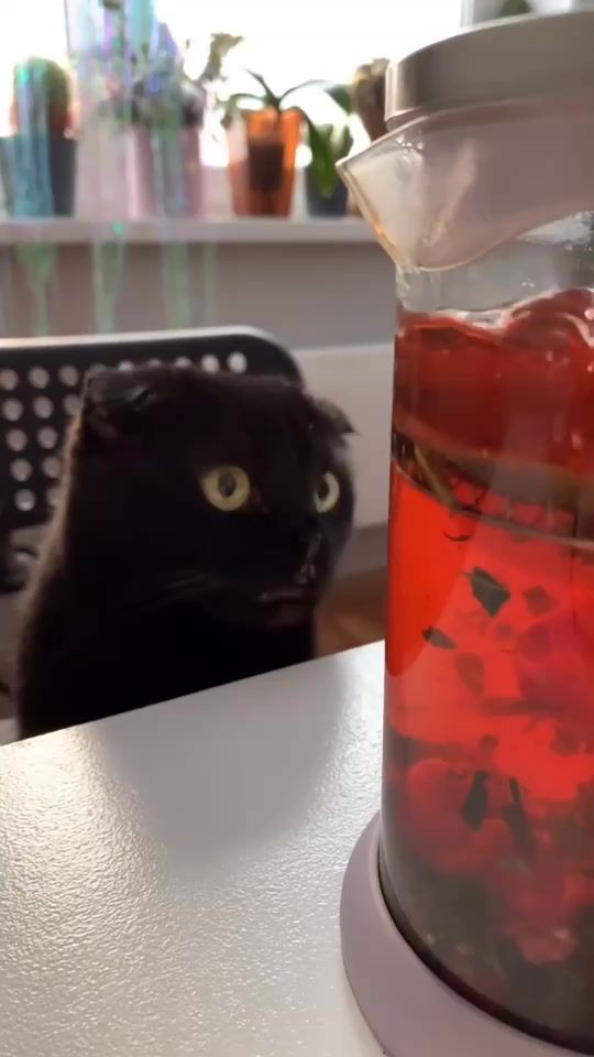 TikTok video thumbnail by labromama