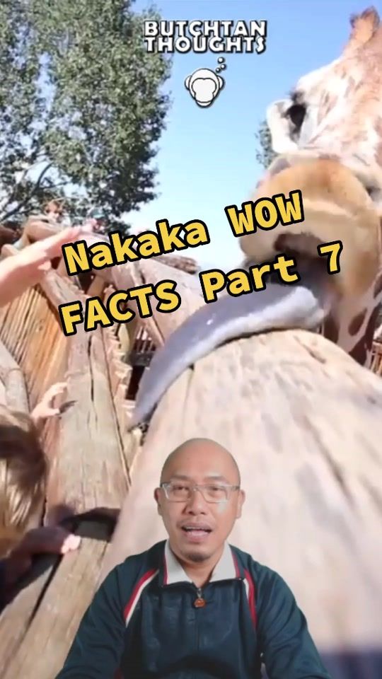 TikTok video thumbnail by thebutchtan
