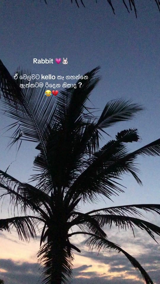 TikTok video thumbnail by action_rabbit