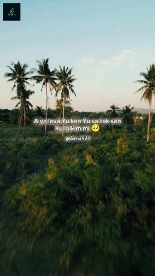 TikTok video thumbnail by leerix675