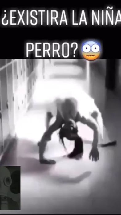 TikTok video thumbnail by _asustadordor