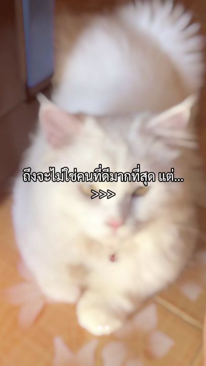 TikTok video thumbnail by suonisa