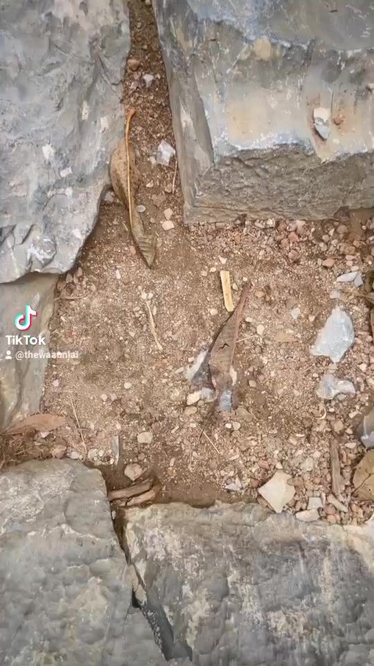 TikTok video thumbnail by thewaaunjai