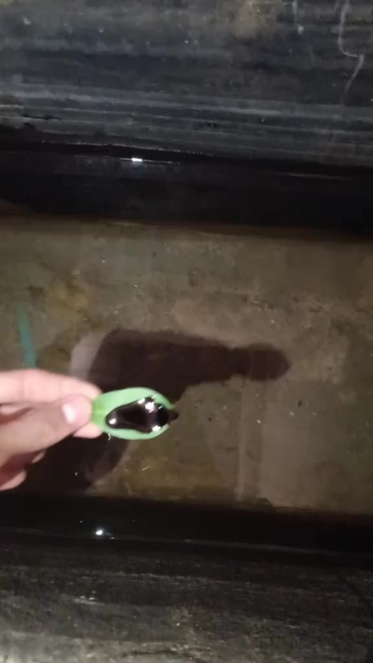 TikTok video thumbnail by phanun99