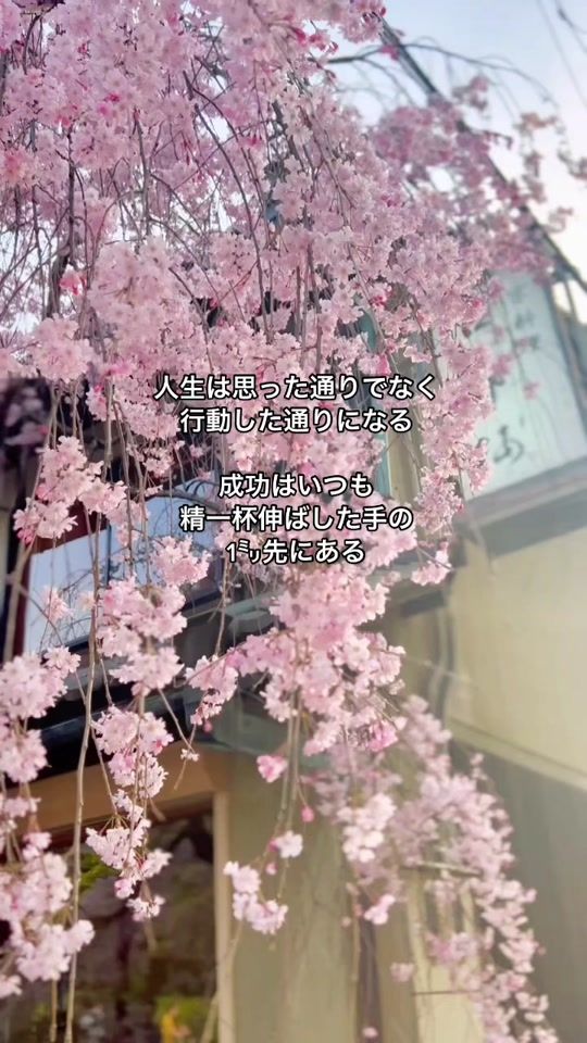 TikTok video thumbnail by d_kamegai