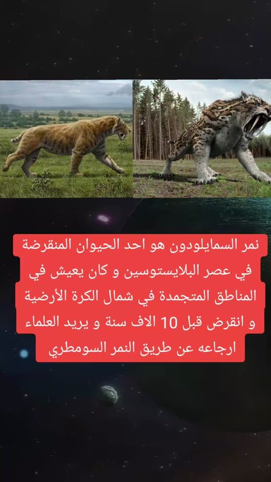 TikTok video thumbnail by lbas711