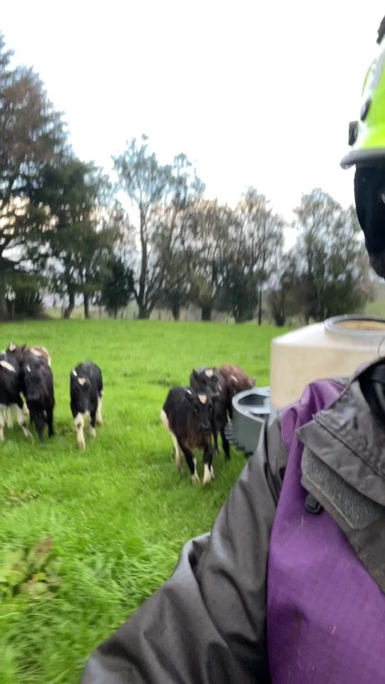 TikTok video thumbnail by nzfarming124