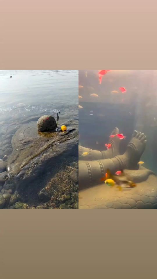 TikTok video thumbnail by rodrosarker7