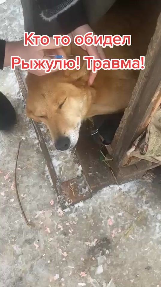 TikTok video thumbnail by dobridrugengsar