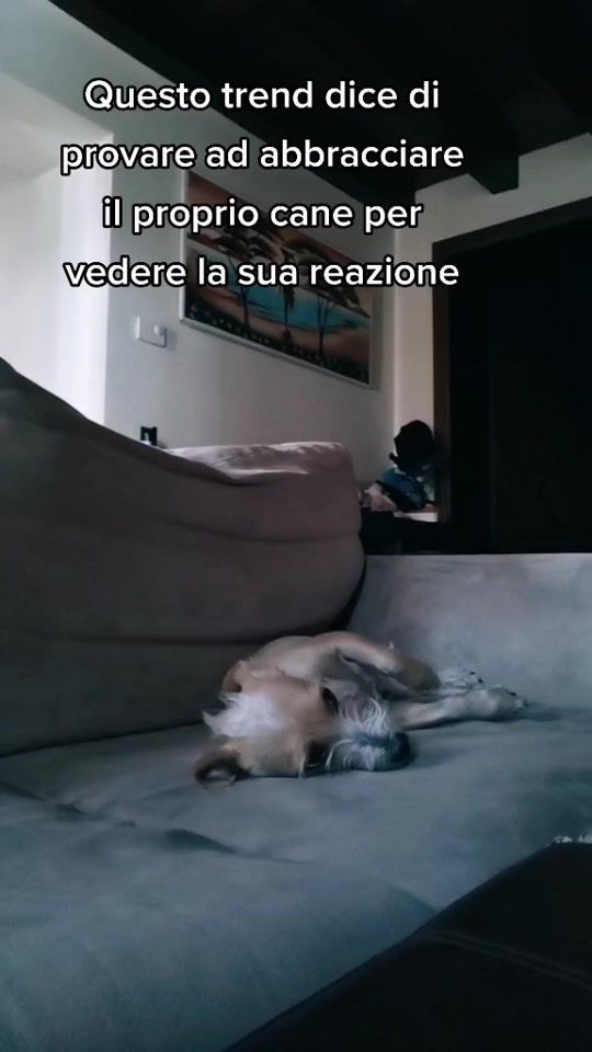 TikTok video thumbnail by bibbitattoo