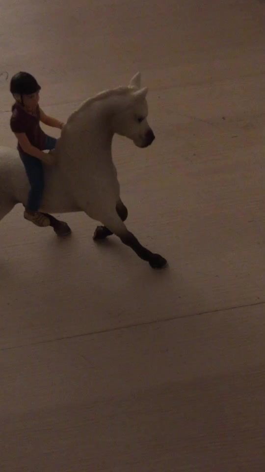 TikTok video thumbnail by schleich...098