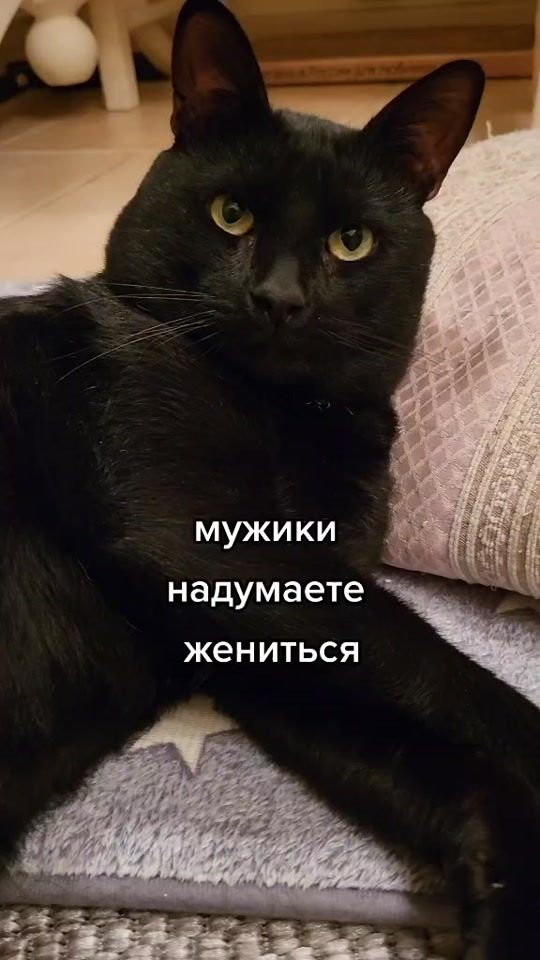 TikTok video thumbnail by vizavi6