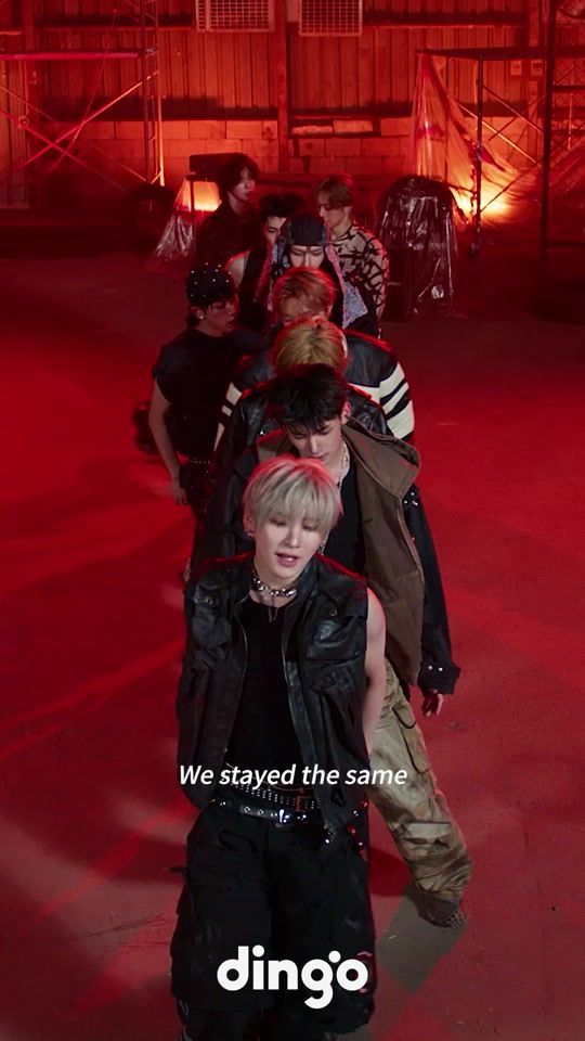 TikTok video thumbnail by dingo__official