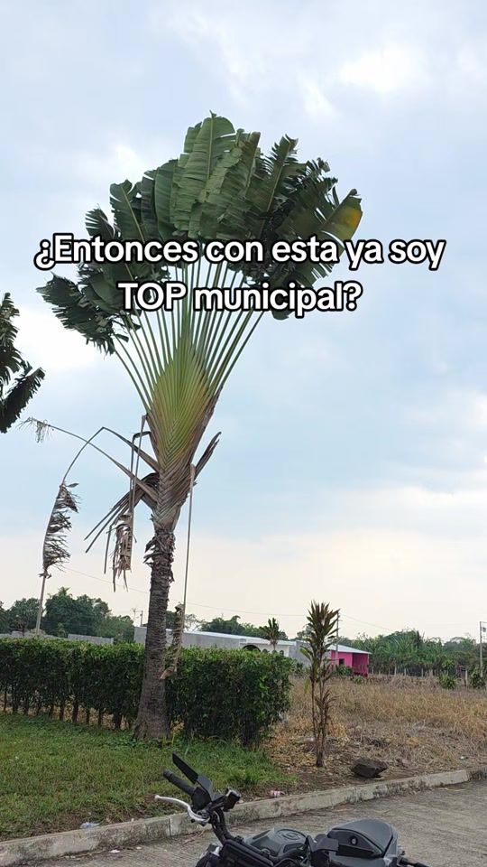 TikTok video thumbnail by jc.arlosgo
