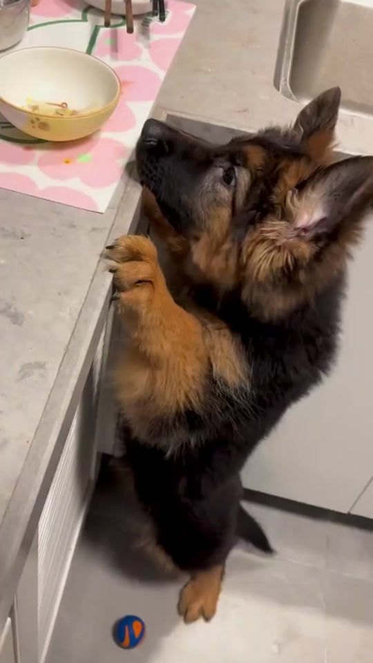 TikTok video thumbnail by user7614791935486