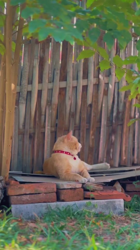 TikTok video thumbnail by ianiun92