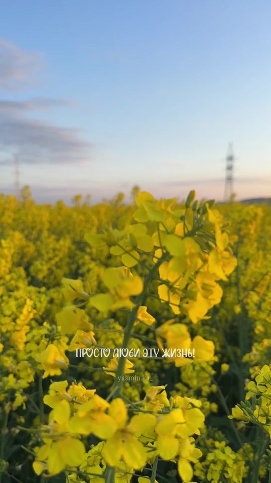 TikTok video thumbnail by .yasminka_