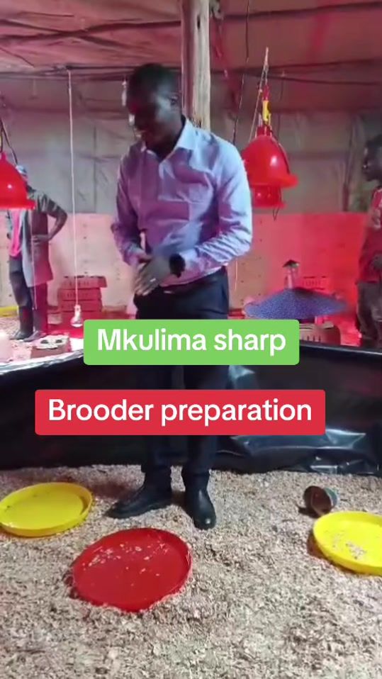 TikTok video thumbnail by mkulimasharp_kenya